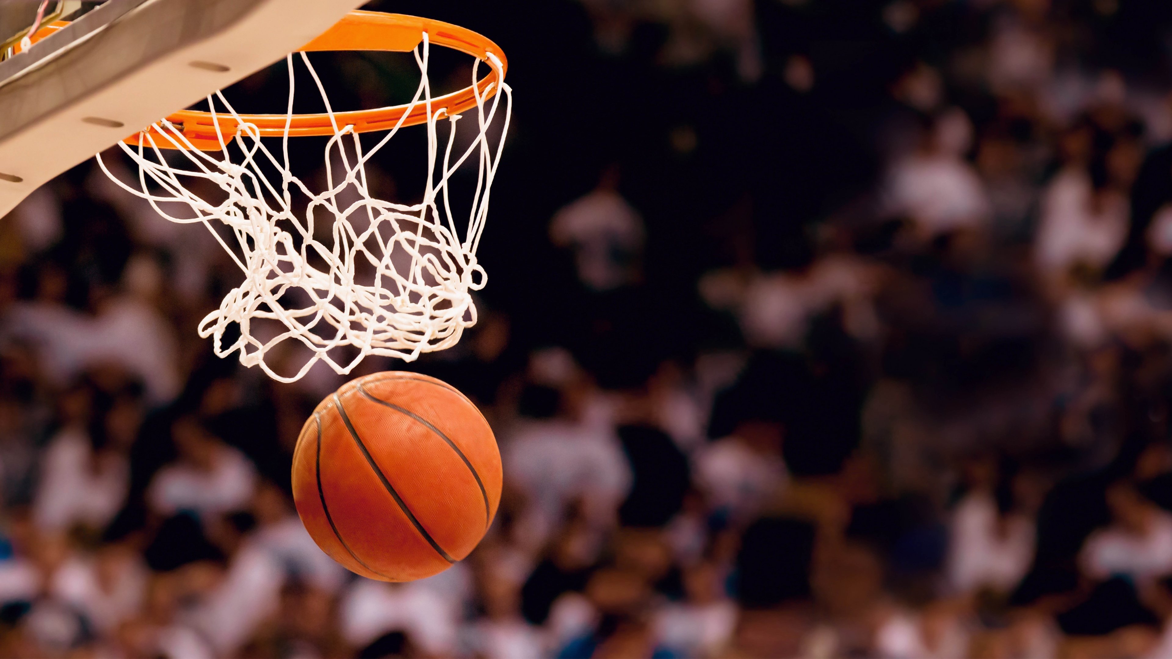 足篮大乱炖,本菲卡意甲梦、浙江队NBA造点、斯图加特亚冠奇观